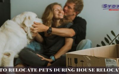 Relocation With Pets: 6 Beneficial Moving Tips