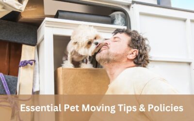 Learn About The Essential Pet Moving Tips & Policies