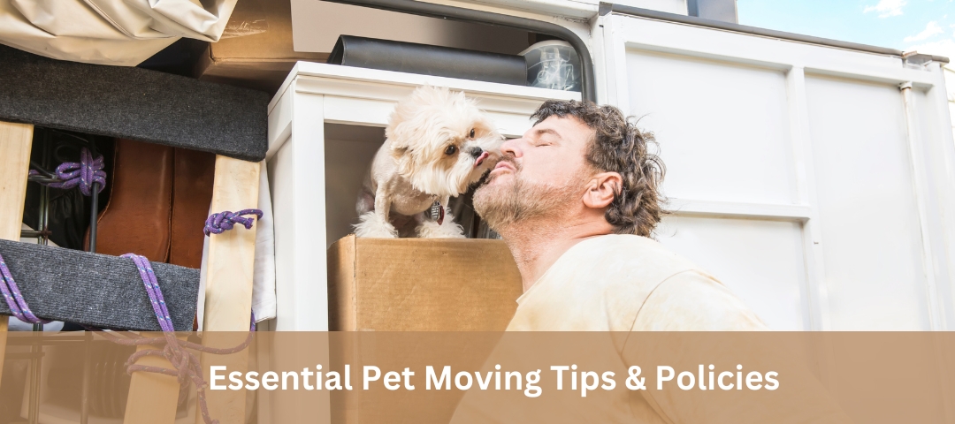Essential Pet Moving Tips & Policies