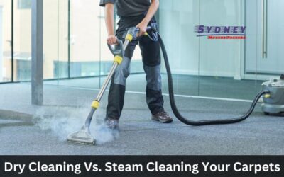 Dry Cleaning Vs Steam Cleaning Your Carpets